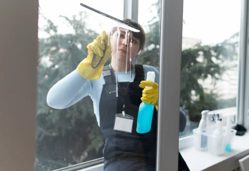 Nettoyage de vitres intérieures et extérieures à Mézières-sur-Ponthouin